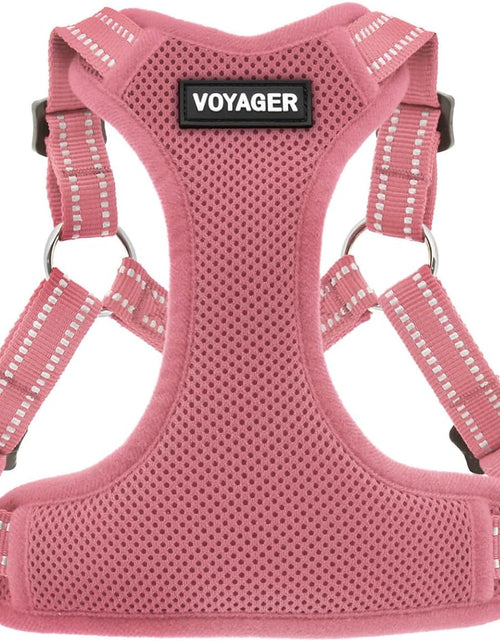 Load image into Gallery viewer, Voyager by  - Fully Adjustable Step-In Mesh Harness with Reflective 3M Piping
